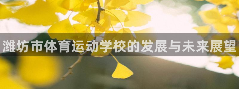 千亿国际官网下载招商电话号码查询：潍坊市体育运动学校