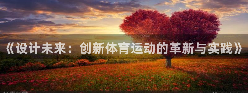 千亿国际官网下载平台是正规平台吗：《设计未来：创新体育运动的