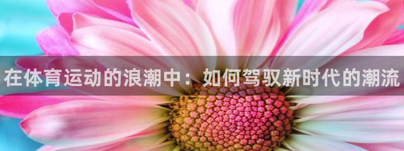 千亿国际官网下载平台：在体育运动的浪潮中：如何驾驭新