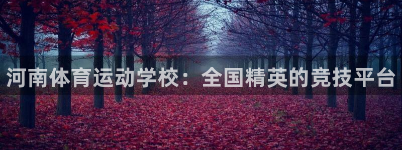 千亿国际官方正版app开户：河南体育运动学校：全国精