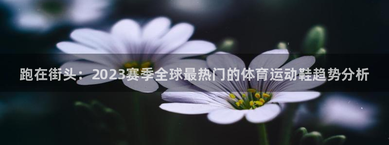 千亿国际官网下载招商电话号码查询：跑在街头：2023