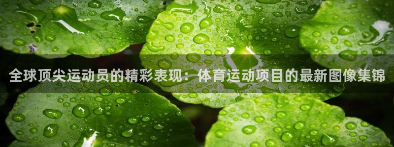 千亿国际官方正版app代理：全球顶尖运动员的精彩表现：体育运
