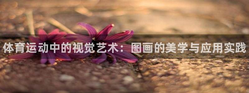 海南千亿国际官网下载发展怎么样：体育运动中的视觉艺术