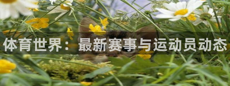 千亿国际官方正版app集团E.ON：体育世界：最新赛
