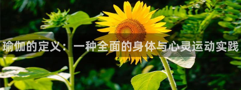 千亿国际官方正版app娱乐网站：瑜伽的定义：一种全面