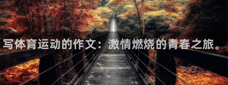 千亿国际官方正版app娱乐首页网站大全：写体育运动的
