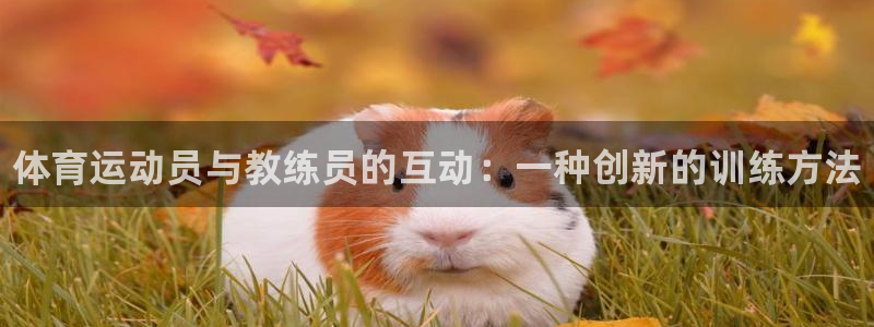 千亿国际官网下载平台注册：体育运动员与教练员的互动：一种创新