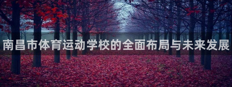 注册千亿国际官方正版app：南昌市体育运动学校的全面布局与未