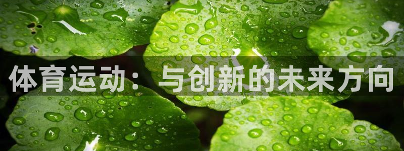 千亿国际官方正版app代理：体育运动：与创新的未来方向