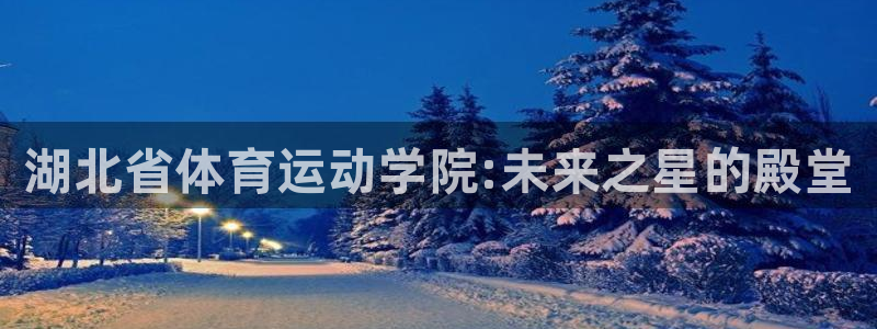 千亿国际官方正版app娱乐：湖北省体育运动学院:未来之星的殿