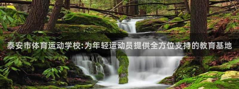 千亿国际官网下载联系电话