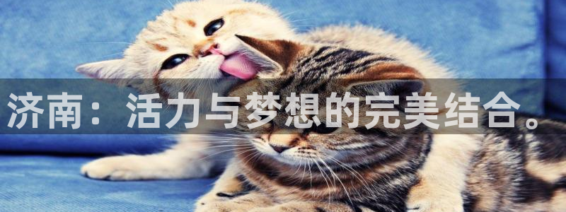 千亿国际官方正版app集团简介：济南：活力与梦想的完美结合。