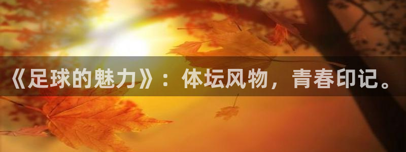 千亿国际官网下载软件：《足球的魅力》：体坛风物，青春印记。