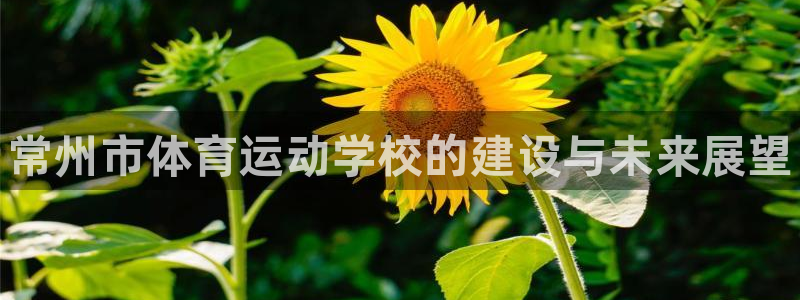 千亿国际官方正版app集团logo：常州市体育运动学校的建设