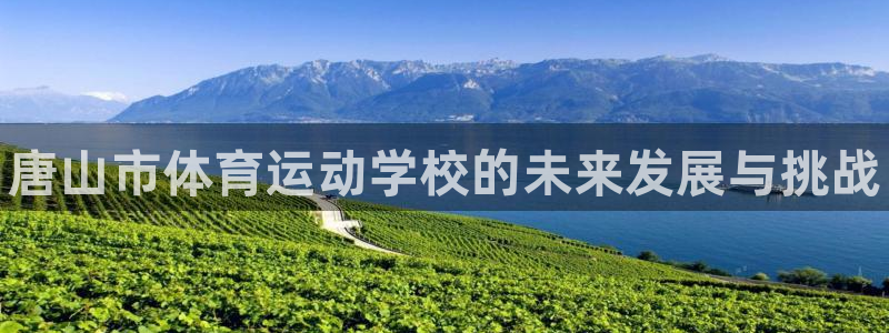 千亿国际官方平台体育