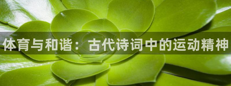 千亿国际官网下载平台是正规平台吗知乎