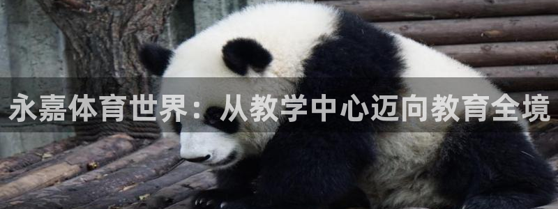 千亿国际官方正版app娱乐
