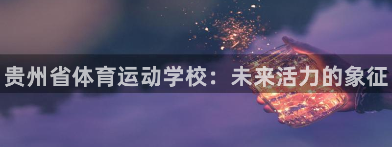 千亿国际官方正版app科技：贵州省体育运动学校：未来活力的象