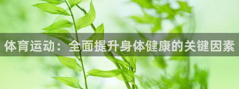 千亿国际官方正版app神州：体育运动：全面提升身体健