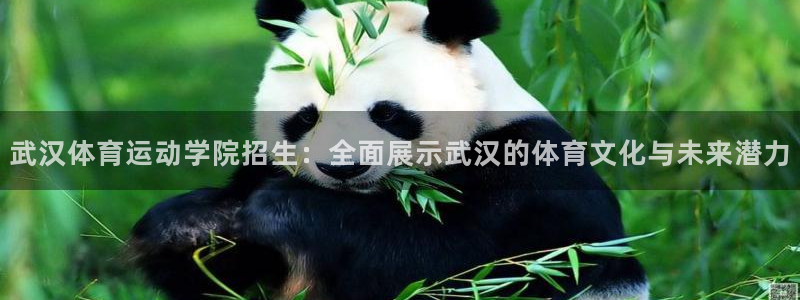 千亿国际官网下载：武汉体育运动学院招生：全面展示武汉的体育文