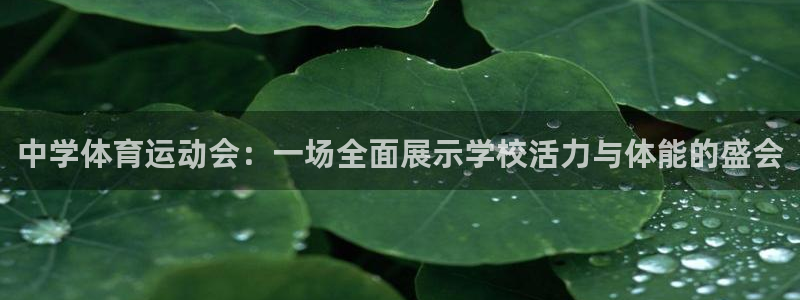 千亿国际官网下载平台注册流程视频：中学体育运动会：一