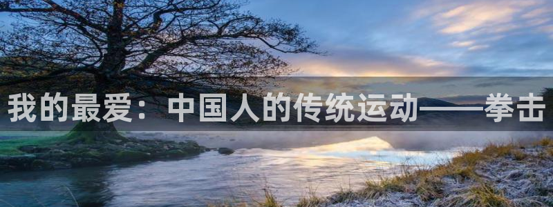千亿国际官网下载招商电话是多少啊：我的最爱：中国人的传统运动