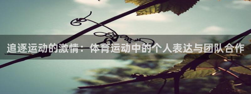 千亿国际官网下载软件：追逐运动的激情：体育运动中的个人表达与