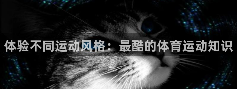 千亿国际官网下载平台假的吗是真的吗吗：体验不同运动风