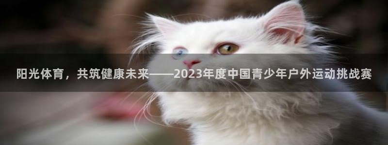 千亿国际官网下载平台注册流程视频：阳光体育，共筑健康