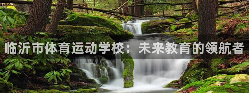 注册千亿国际官方正版app：临沂市体育运动学校：未来