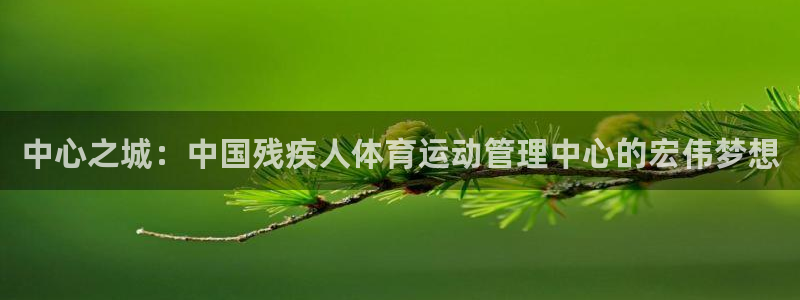 千亿国际官方正版app神州：中心之城：中国残疾人体育
