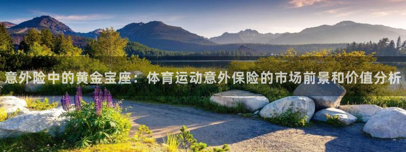 千亿国际官方正版app科技：意外险中的黄金宝座：体育