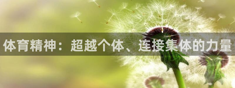 千亿国际官网下载招商电话是多少号码：体育精神：超越个体、连接