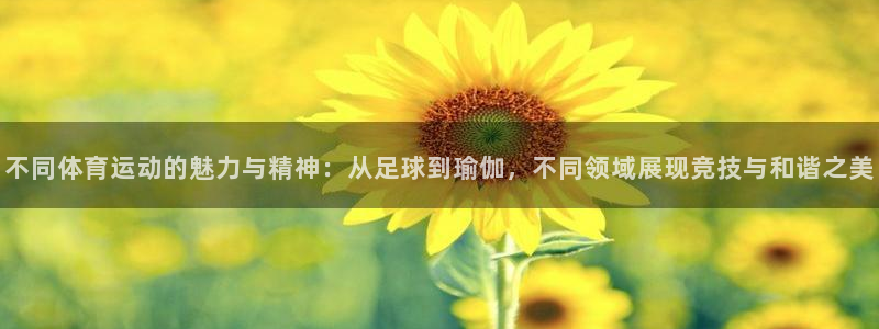 千亿国际官网下载平台注册要钱吗：不同体育运动的魅力与精神：从