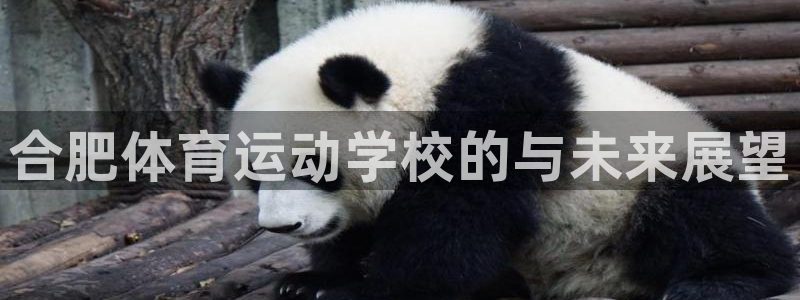 千亿国际官网下载招商电话是多少号码：合肥体育运动学校的与未来