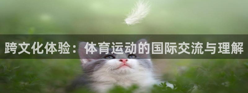 千亿国际官方正版app娱乐首页网站大全：跨文化体验：体育运动