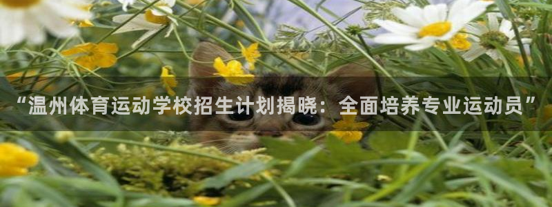 千亿国际官网下载平台APP：“温州体育运动学校招生计划揭晓：