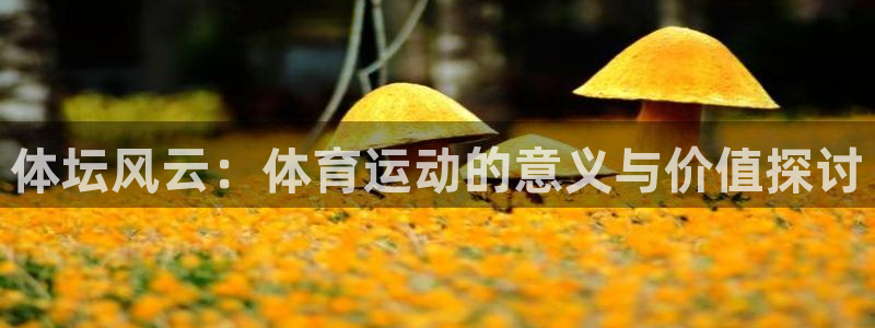 千亿国际官方正版app集团官网网址：体坛风云：体育运动的意义