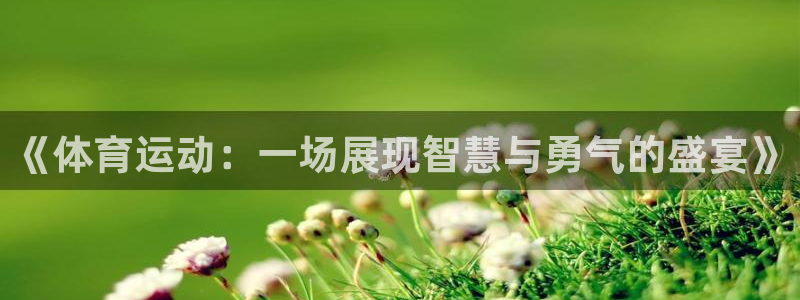 千亿国际官网下载招商电话是多少：《体育运动：一场展现智慧与勇