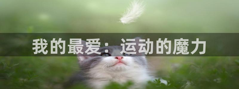 千亿国际官网下载招商电话号码查询