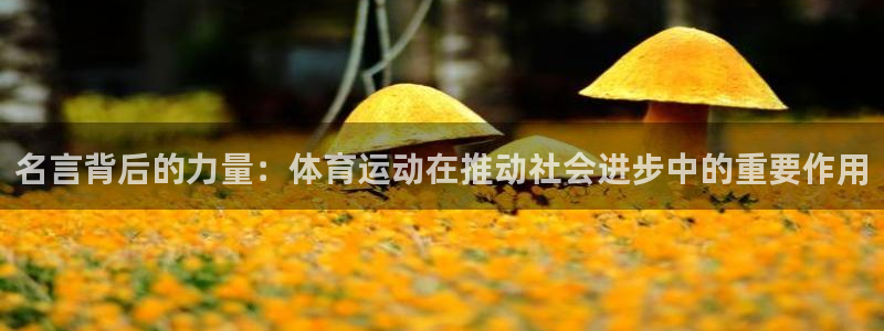 千亿国际官网下载招商电话地址是多少：名言背后的力量：体育运动