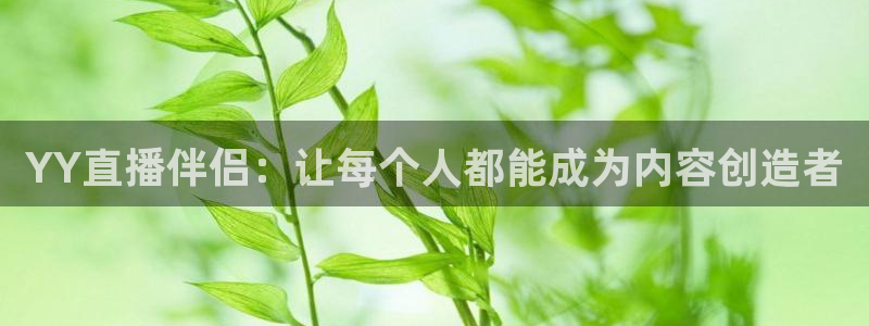 玩球直播app官方版下载：YY直播伴侣：让每个人都能成为内容创造者