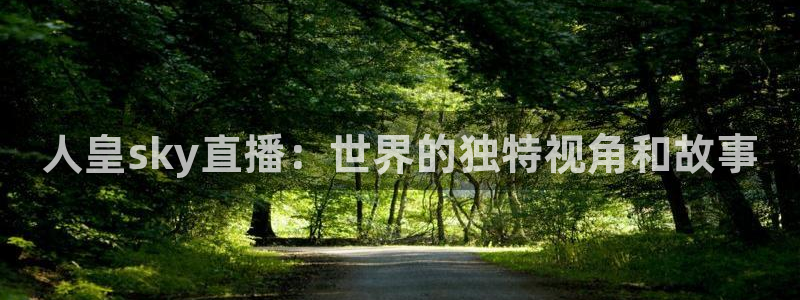 玩球直播 官网：人皇sky直播：世界的独特视角和故事