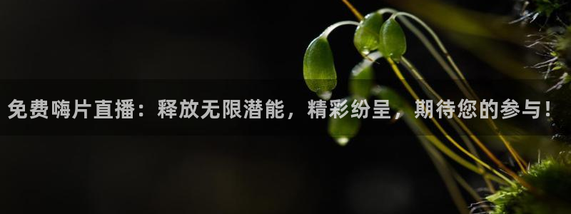 玩球直播app苹果下载：免费嗨片直播：释放无限潜能，精彩纷呈，期待您的参与！